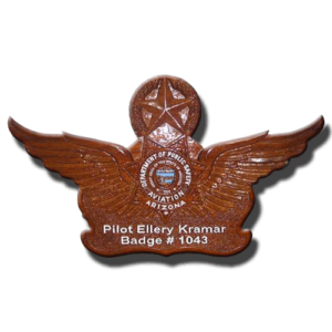 18" Arizona Aviation Wings