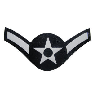 USAF E2 Rank Insignia Plaque