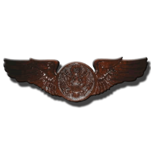 USAF Enlisted Aircrew Badge Insignia Plaque