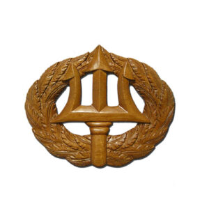 USN Command Ashore Insignia Plaque