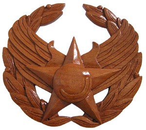 USAF Commander's Insignia Plaque